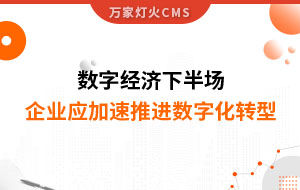 數字經濟下半場，企業(yè)應加速推進數字化轉型