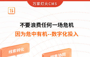 不要浪費任何一場危機，因為危中有機--數(shù)字化投入