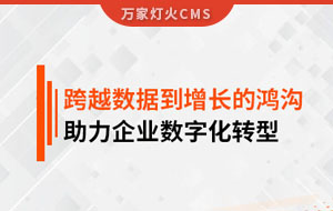 跨越數(shù)據(jù)到增長(zhǎng)的鴻溝，助力企業(yè)數(shù)字化轉(zhuǎn)型